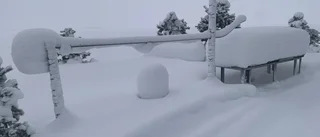 Läsarbilden                   
