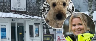 Mattar och hussar kräver ännu en hundrastgård i Trosa