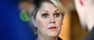 S om Åkessons islamistutspel: "Rena lögner"