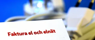 Företagarna om elstödet: Inte en dag för tidigt