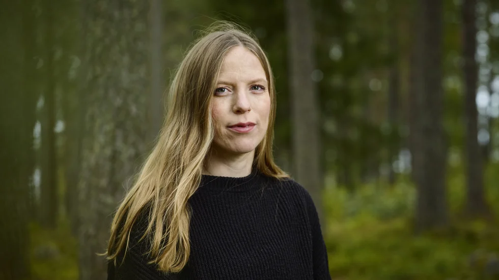 "Linda Jones har en härlig rytm och ton", skriver NSD:s recensent om romanen "De tar allt ifrån mig".