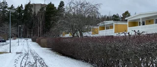 Planen: Bygga ett 60 meter högt telekomtorn