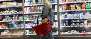 Sverige är ett elakt land mot låginkomsttagare