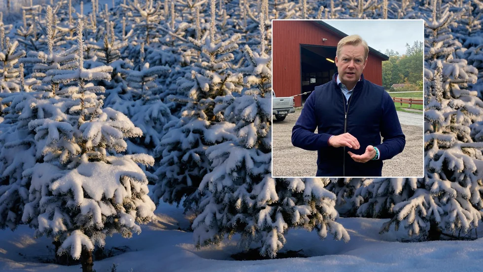 "Jag har ett elände själv att hitta en fin julgran", säger markägaren Johan Wachtmeister.