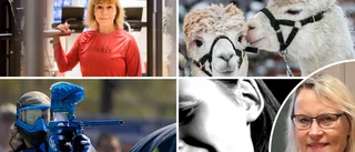 Sista minuten-tips för friskvårdsbidrag: ✓Lista: Från alpackavandring till hypnos ✓Max 5 000 kronor ✓Rusning till träning ✓Måste säga nej