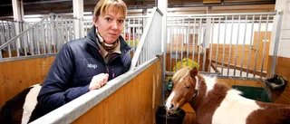 Efter sjukdomen – hästarna isolerade