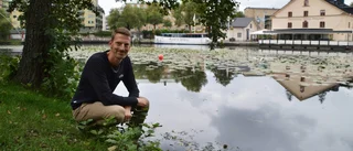 Besöksnäringen prisat för hållbarhet