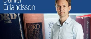 Språkörat får ge vägledning