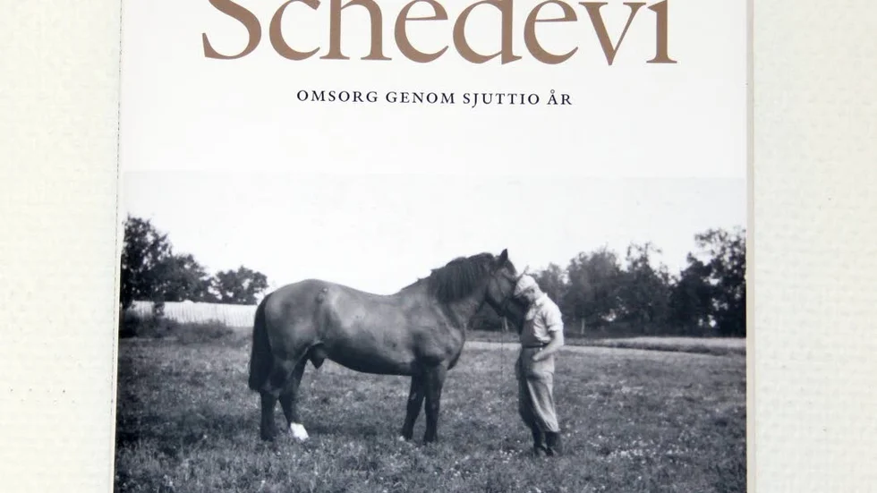 Schedevi var ett samhälle i samhället. Många av de boende fick aldrig besök. (Bildtext till fotografiet på bokens framsida).
