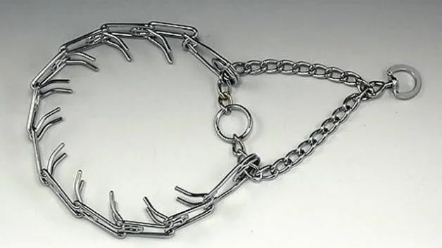 Så här kan ett stackelhalsband se ut.