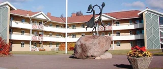 Billigaste hyrorna