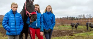 Obesegrade rakt genom serien
