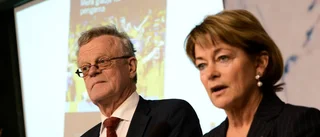 Björn Eriksson: Behöver vi nationella samordnare?