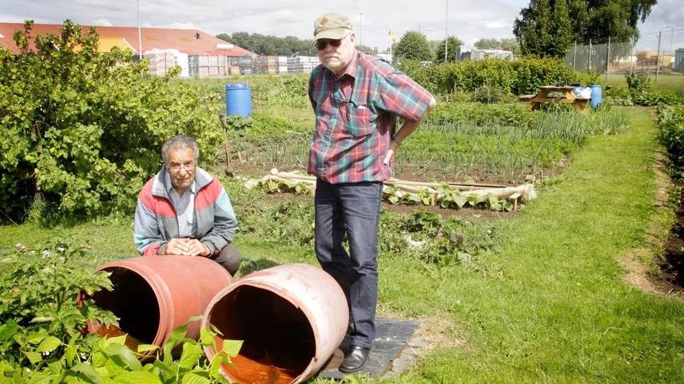 Arga. Ingemar Engwall och Sven-Olof Pettersson, i koloniområdet i Ödeshög som utsatts för skadegörelse.