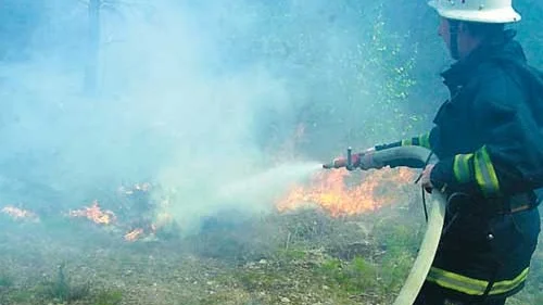 En snabb insats med vatten gjorde att brandmännen fick läget under kontroll. Men skogsbranden hotade att sprida sig snabbt i det torra riset.