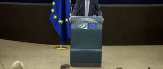 EU ska lösa problem, inte skapa dem