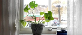 Klart: Så mycket höjs hyran