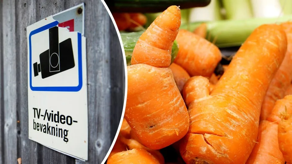 Grönsakstjuvarna avslöjades av en övervakningskamera på onsdagskvällen.