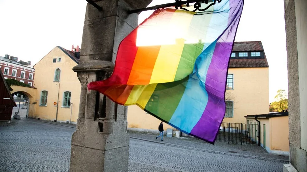 Pride. Det är dags att samkönade par får samma rättigheter som heterosexuella när de vill bli föräldrar, menar skribenten.