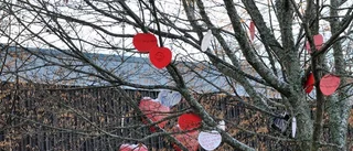 Röda hjärtan i Skäggetorp