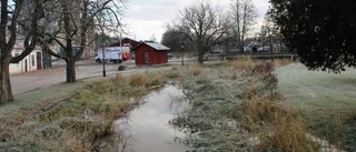 "Kommunen missköter ån"