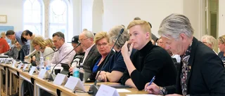 Förslaget: Ta bort medborgarförslagen