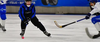 19.00: Sirius i bandypremiär   