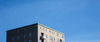 Det är Domussamhället som är problemet