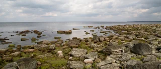 Börja plocka upp skräp i naturen