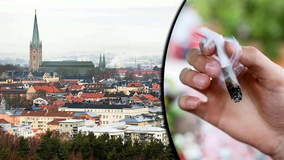 En 25-årig man har dömts för åtta fall av narkotikabrott.