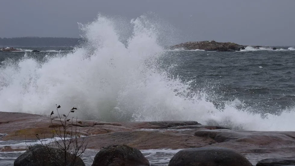 Vinnaren av Månadens bild november 2016 på vt.se