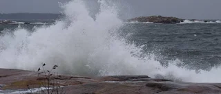 Hennes bild vann för november