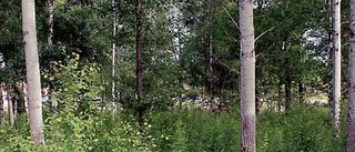 Centerns "surhål" fullt byggbart