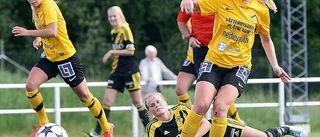 Stjärnsmäll för Vimmerby Dam