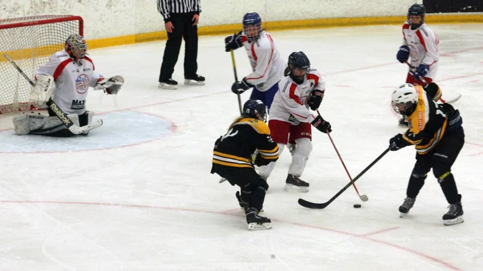 Motala AIF har hemmapremiär i hockeytvåan på lördagen, mot Sveg. Med SDHL-stjärna i laget.