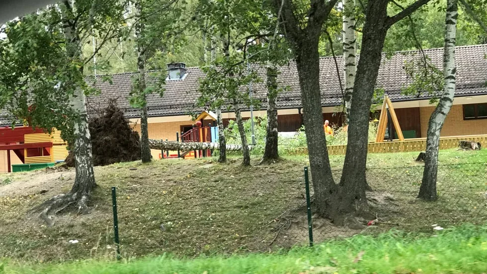 Björken föll över lekplatsen på Nygårds förskola.