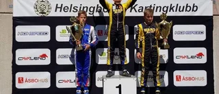 SM-titeln till överlägsen Dino