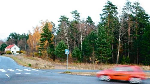 Nya turer för förskola. Här i skogen nära Snokeborondellen ska den nya förskolan byggas. Det är barn- och ungdomsnämndens vilja sedan Vidarförslaget fallit. Foto: Jimmy Karlsson