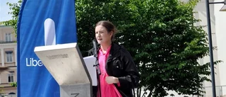Birgitta Ohlsson till USA