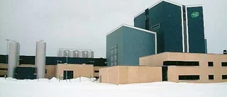 Konflikten påverkar Arlafabriken