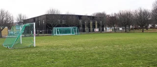 Stadsdelen kan få en konstgräsplan