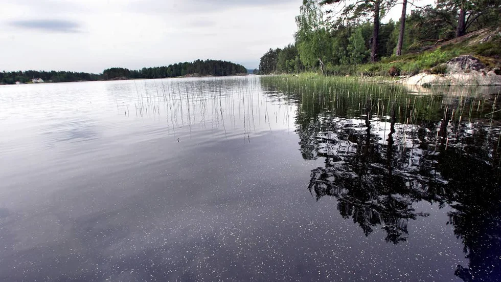 Naturskyddsföreningarna vill inte ha några järnvägsbroar över sjövikar i Sommen.