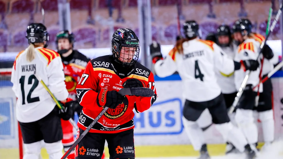 Luleå Hockey/MSSK-Brynäs