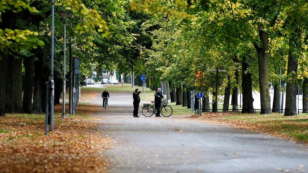 En promenad på Södra Promenaden är en klassiker, omsjungen av nationalskalden Ulf Lundell.