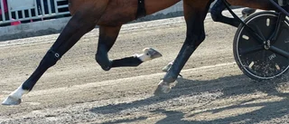 Verkligen toppklass på Åbytravet