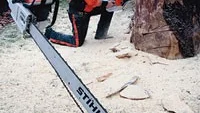 Sören Niklasson är världsmästare i motorsågsskulptering. Han fick uppdraget att skapa 30-årspresenten till tjejföreningen Emma.
