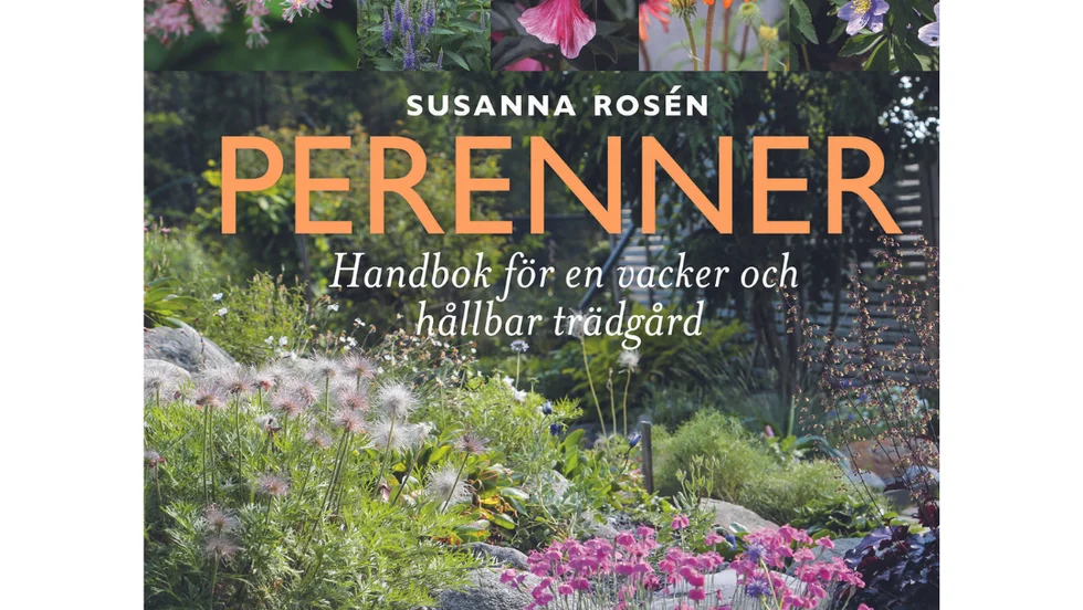 Perenner : Handbok för en vacker och hållbar trädgård