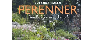 Perenner : Handbok för en vacker och hållbar trädgård 