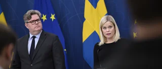 Strömmer kallar till möte om våld mot kvinnor