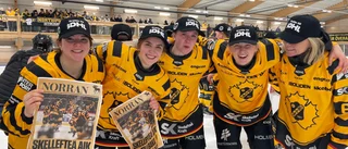 Ny huvudtränare klar för Skellefteå AIK – inför SDHL-säsongen